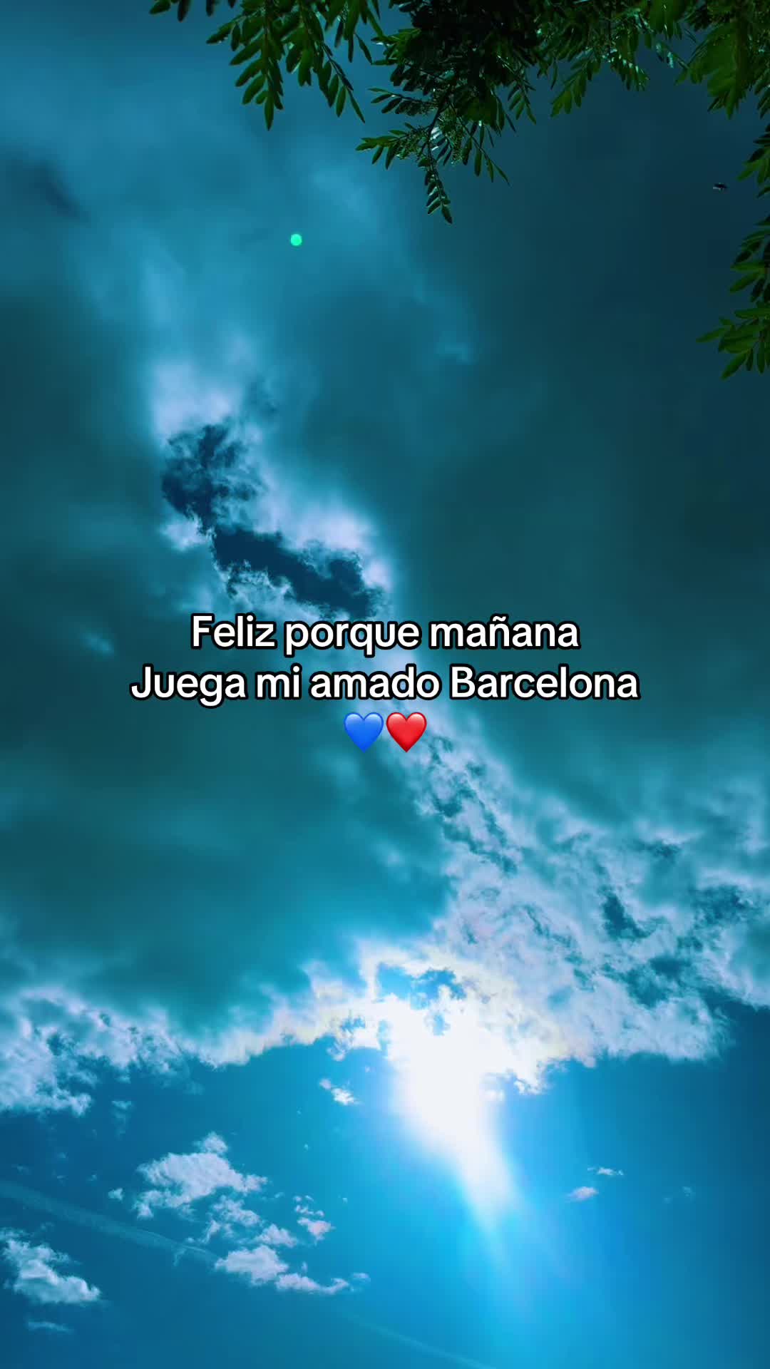 @fcbarcelonafans💙❤️