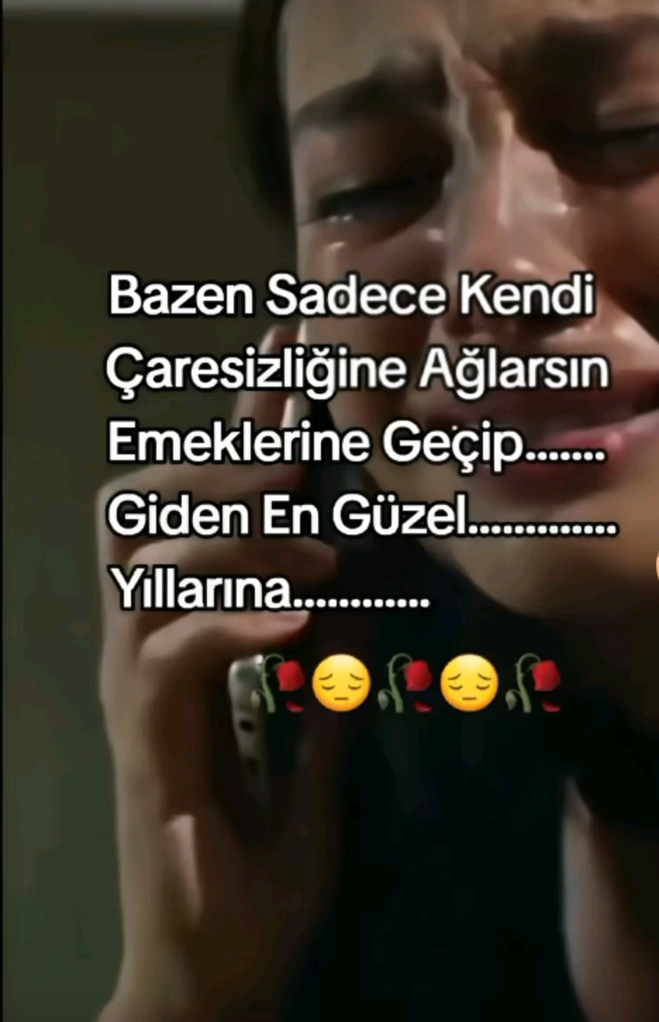 @gulufukk