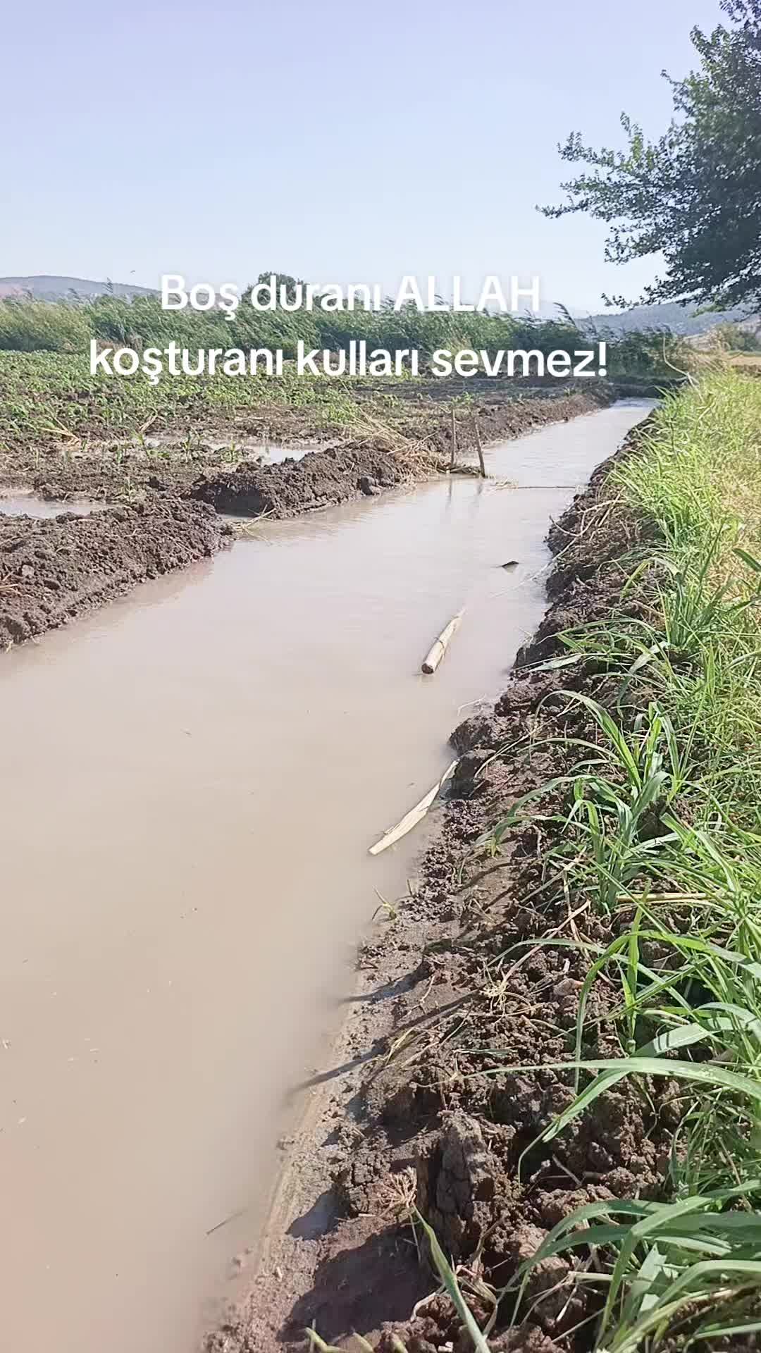 @Mehmet korkmaz