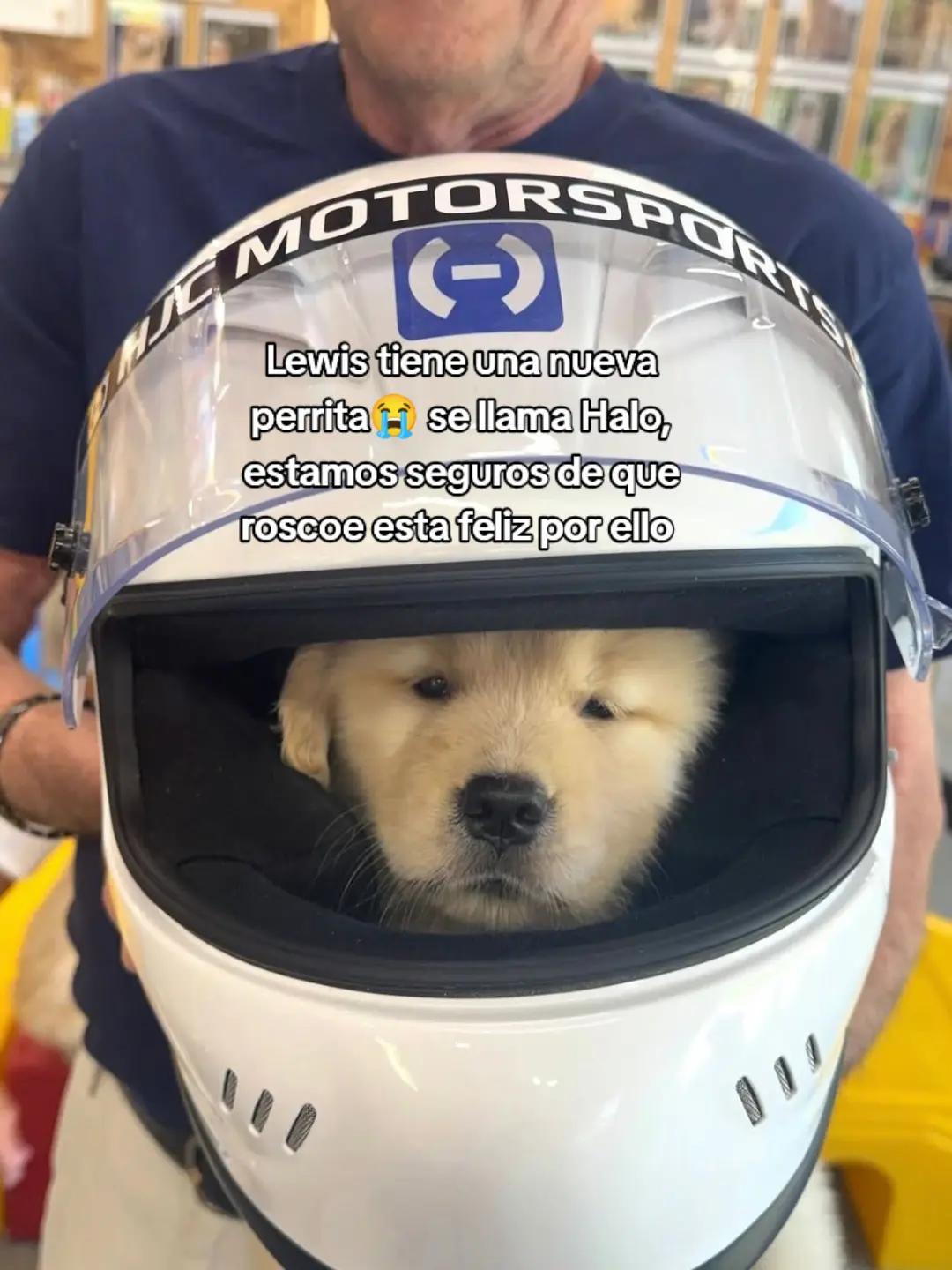 @ʙᴀʀʙɪッ