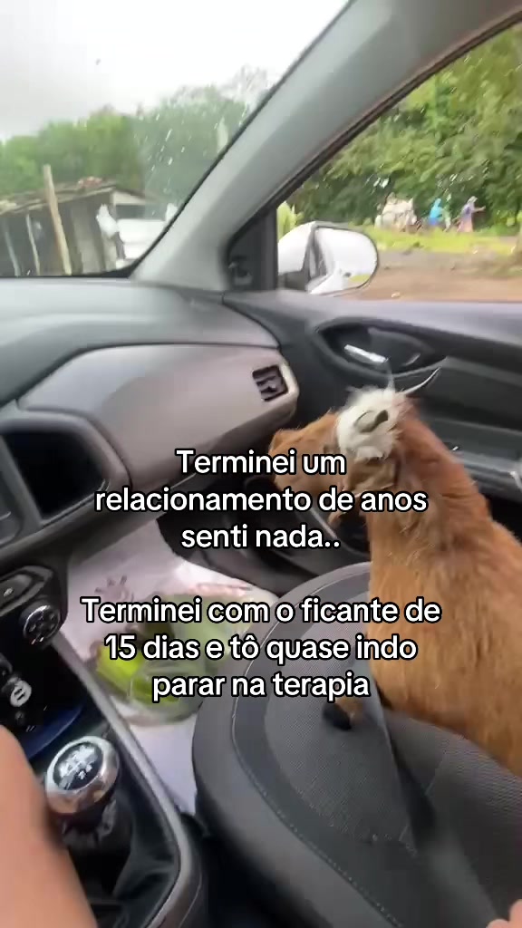 @Marcos Gomes 🇧🇷