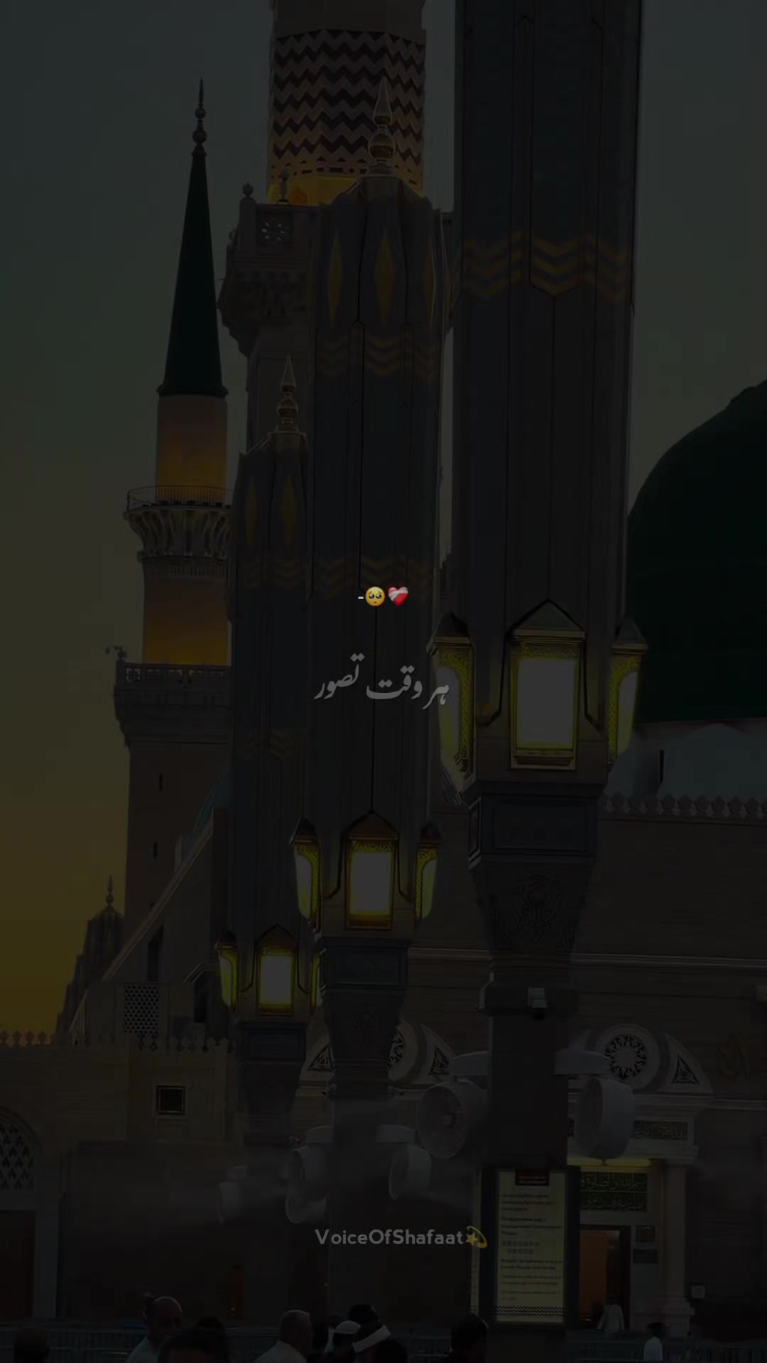 @VoiceOfShafaat💫