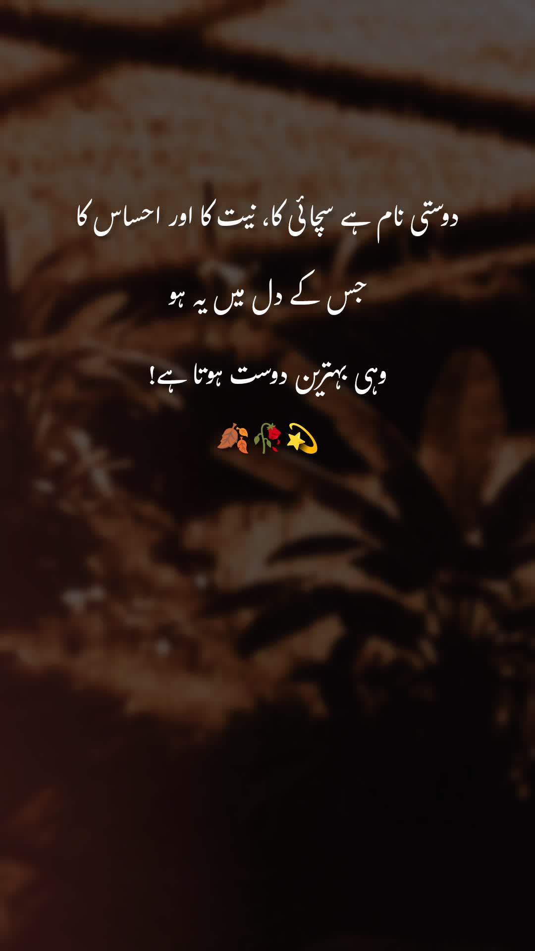 @sidra🌺