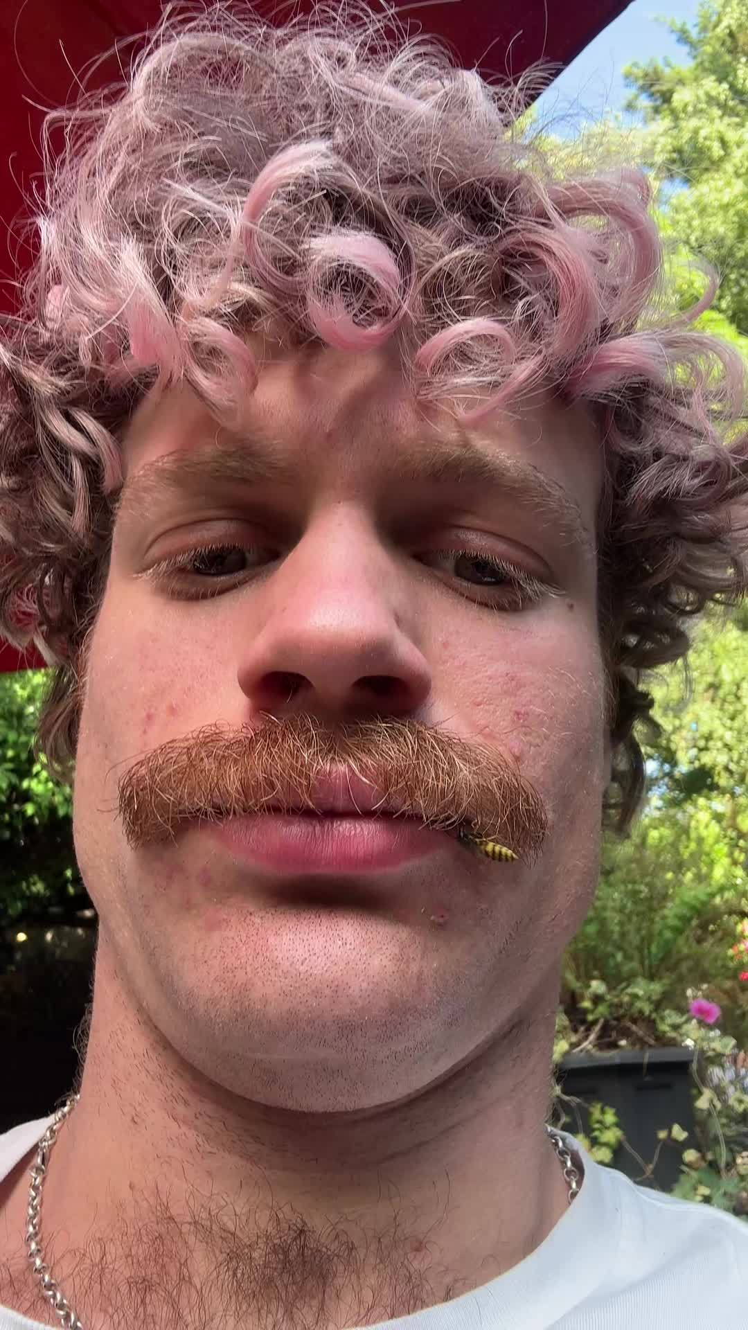 @Ned