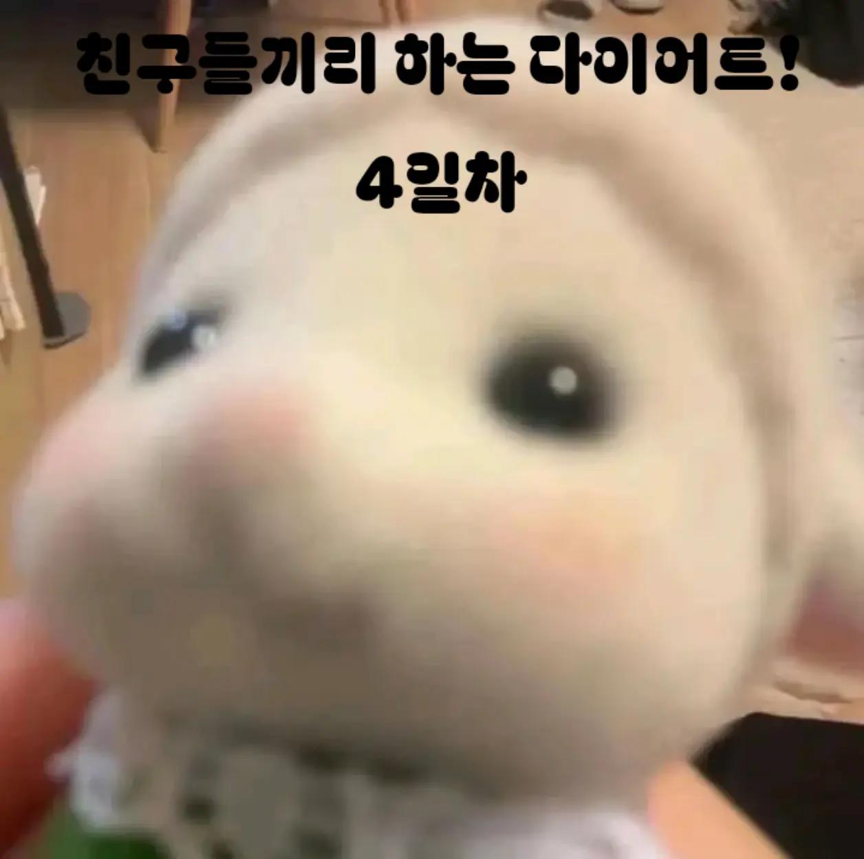 @느좋녀