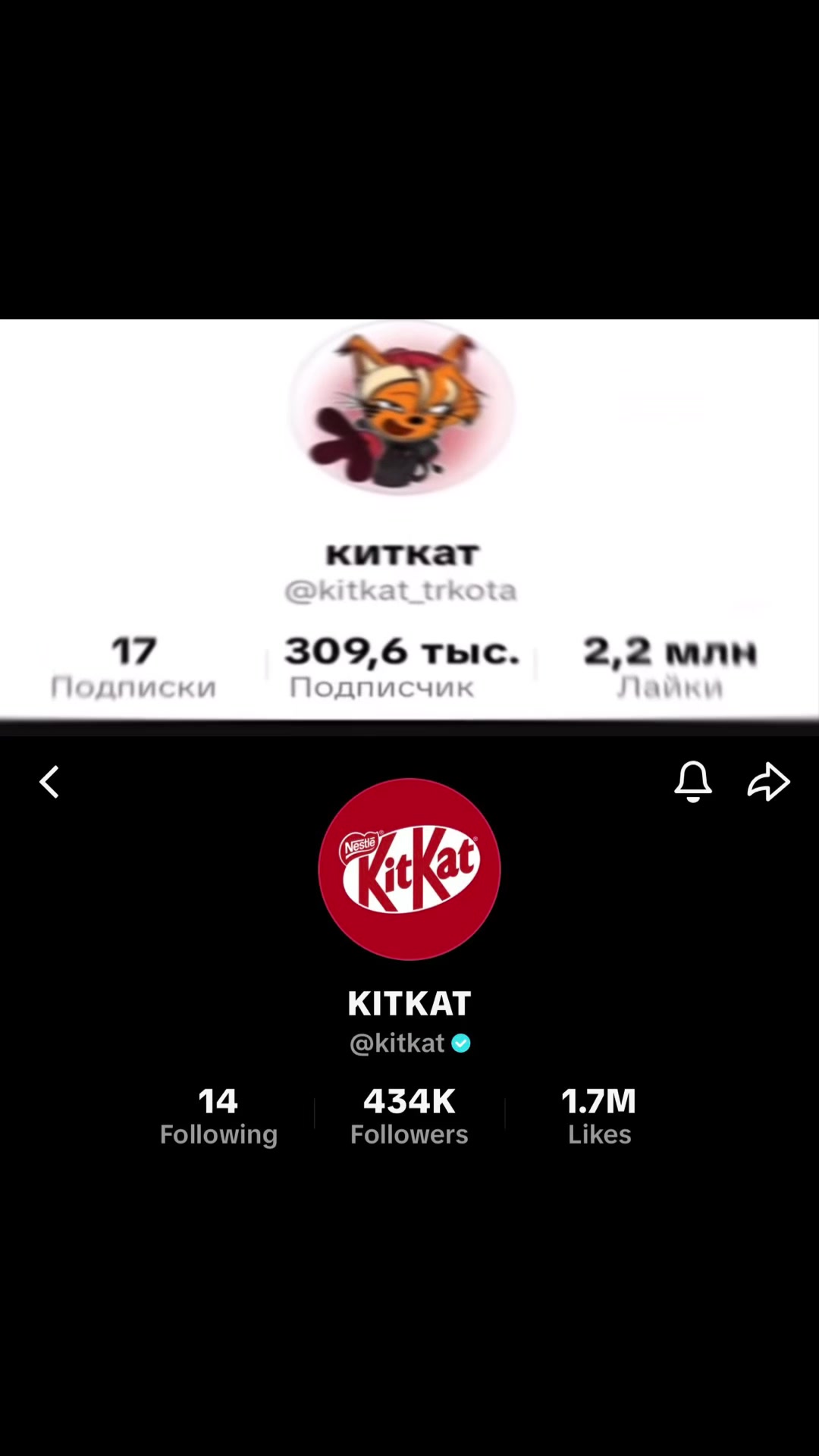 @&ldquo;Strelkin&rdquo;