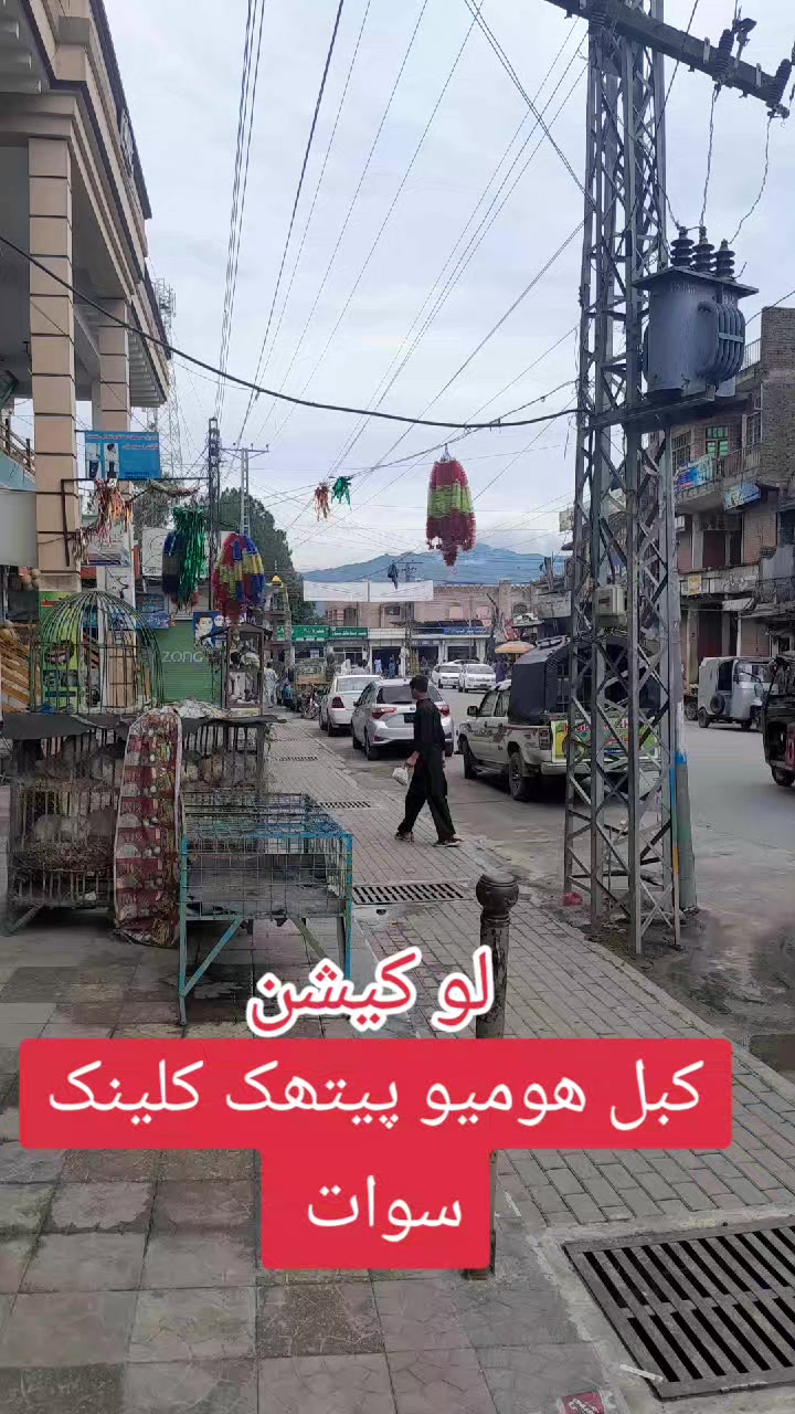 @Dr.Said Hussain Shah