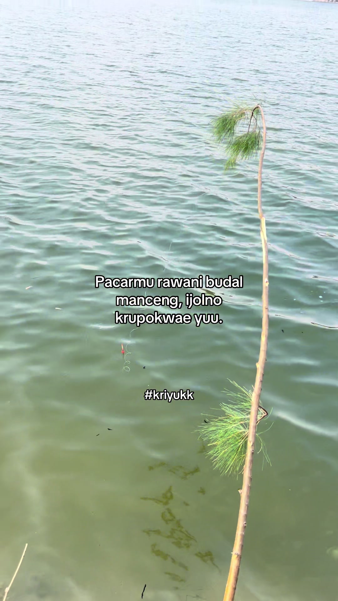 @𝐏𝐚𝐤𝐥𝐞𝐤_𝐝𝐨𝐥