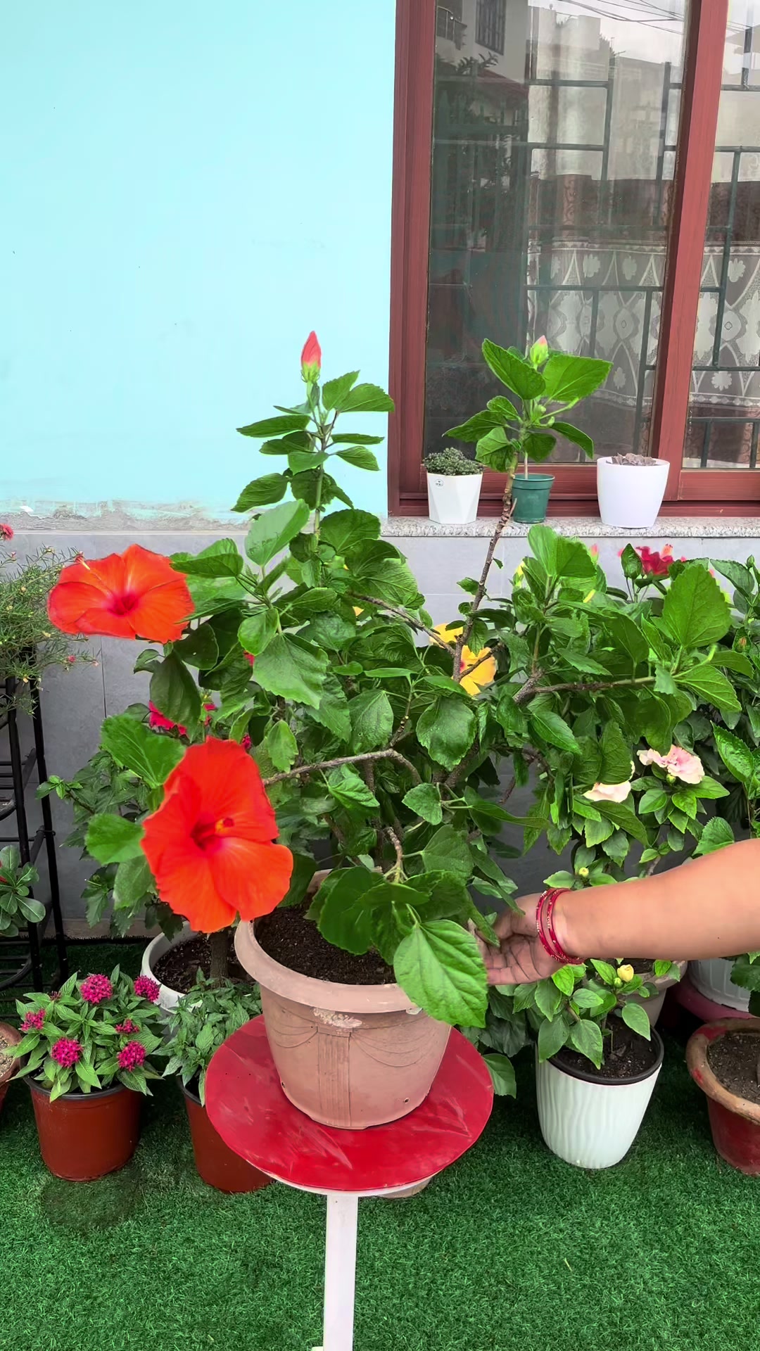 @poonam_shah 🧿🍀