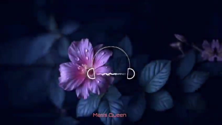 @꧁༺M⃠𝕒𝕤𝕤 𝕢𝕦𝕖𝕖𝕟༻꧂
