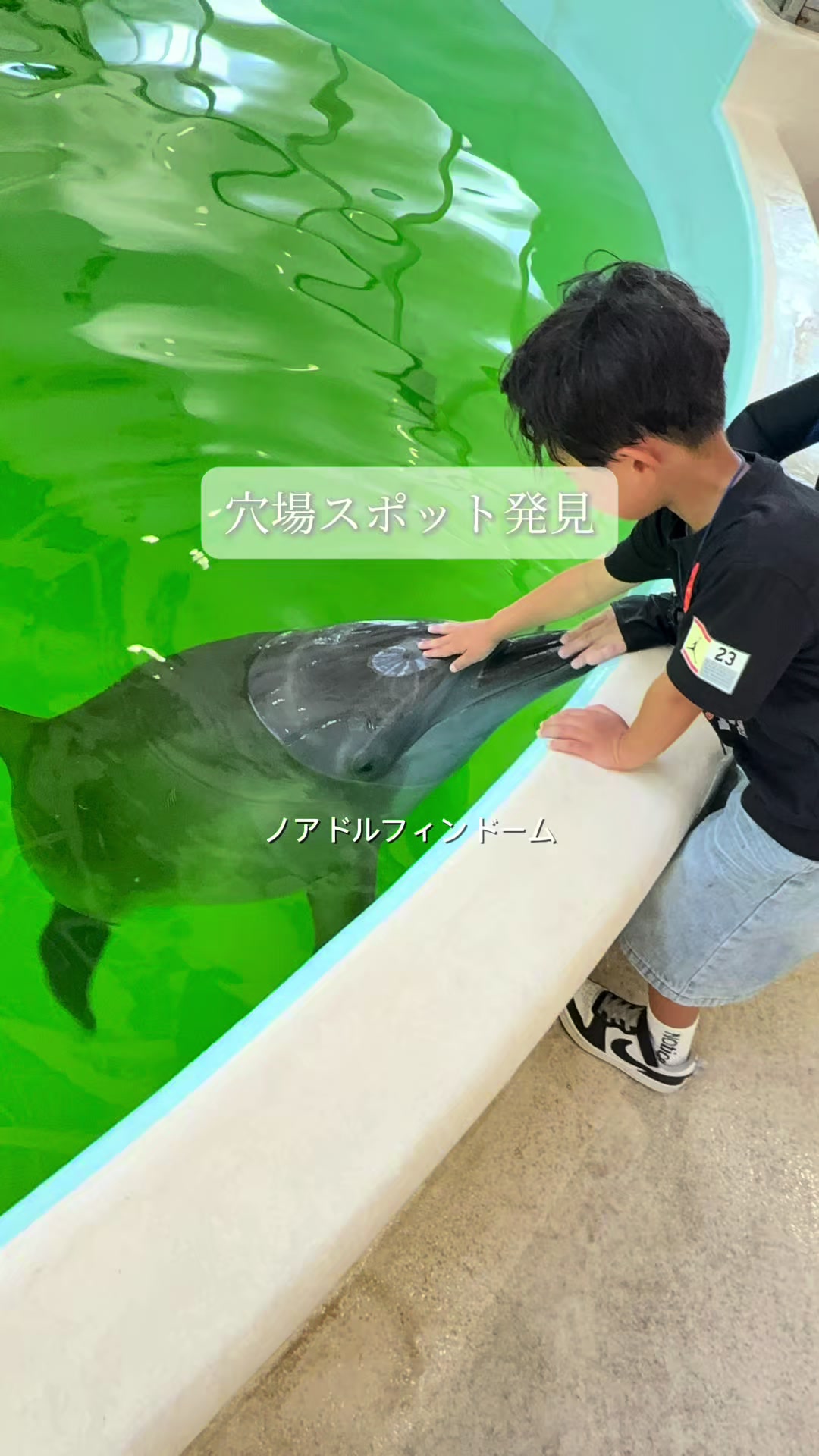 @zasshokumama select