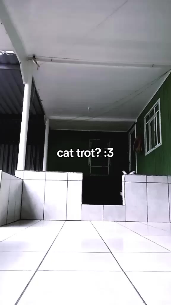 @꧁✩𝐜𝐫𝐢𝐬𝐭𝐚𝐥𝐥✩꧂
