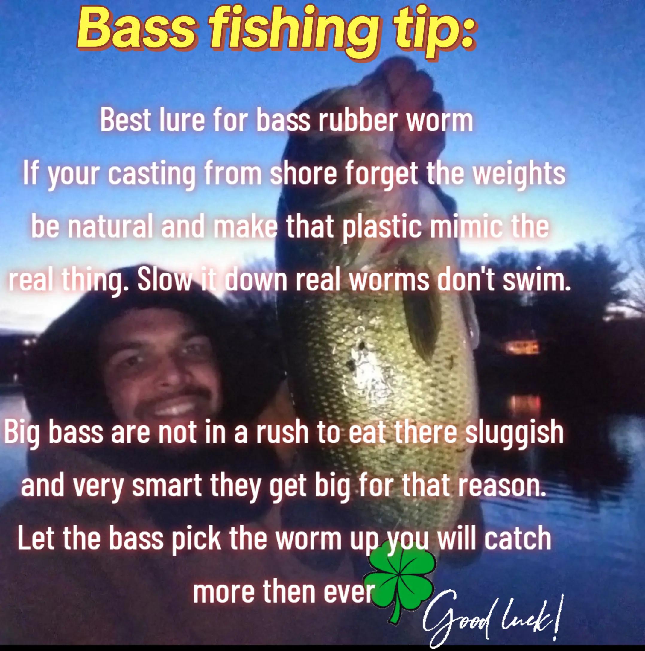 @Carlos Pagan