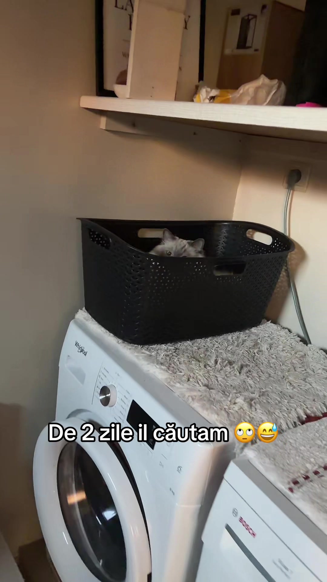 @Adrian Tocila