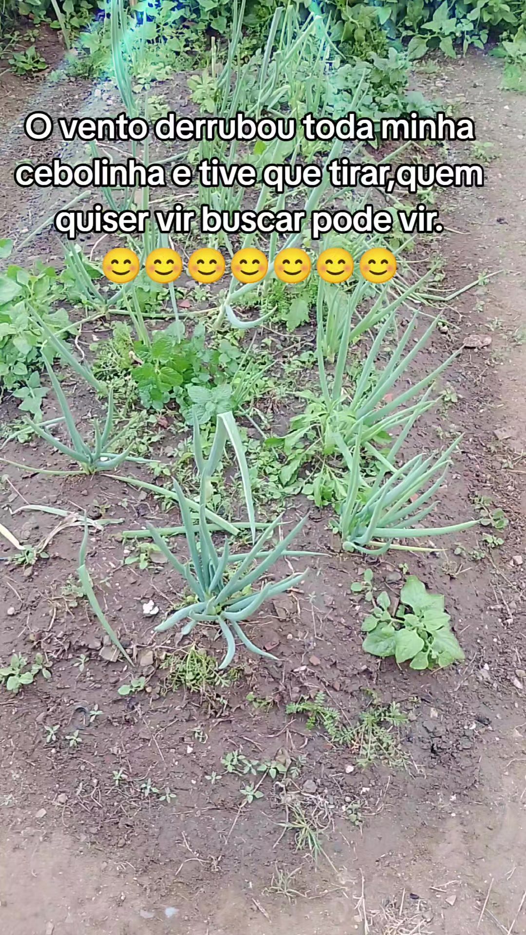 @vin_disel_oficial_sjc