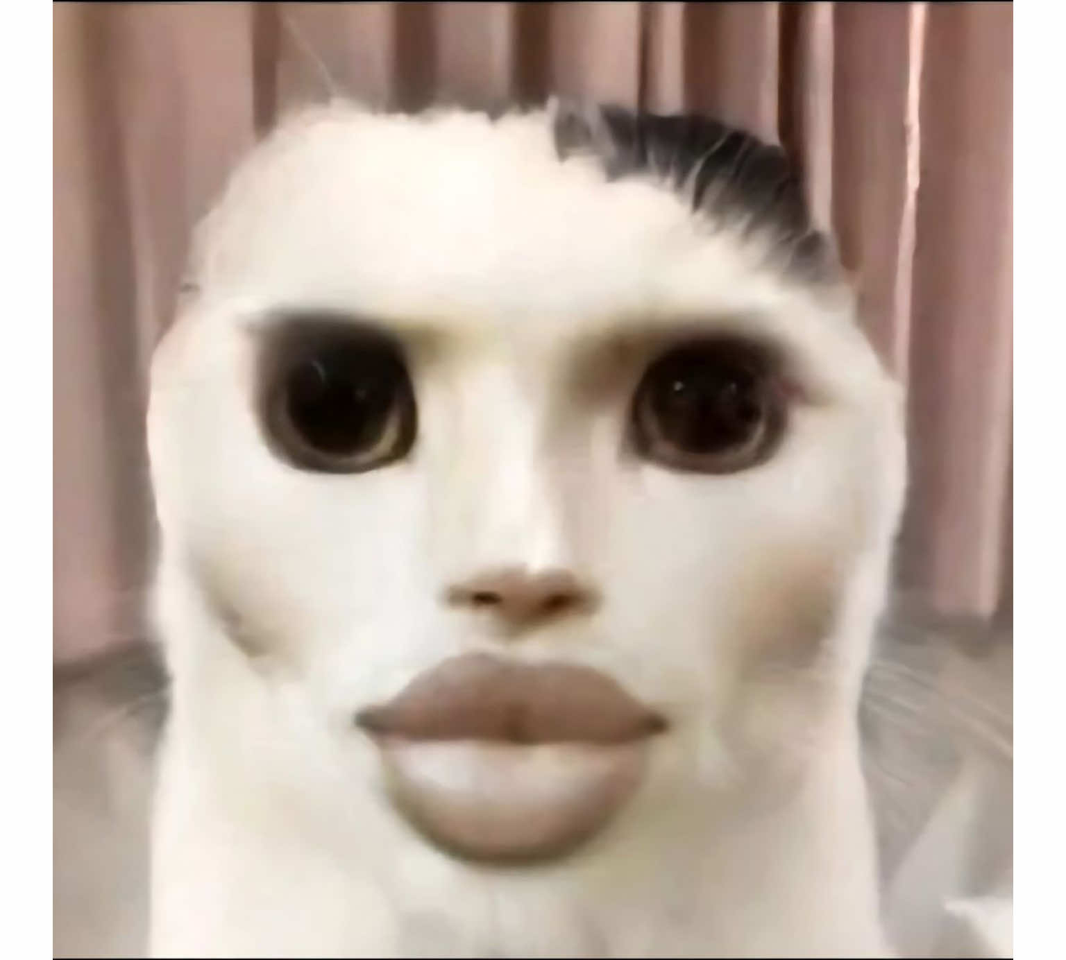 @☆࿐ཽ༵༆༒L༒༆࿐ཽ༵☆