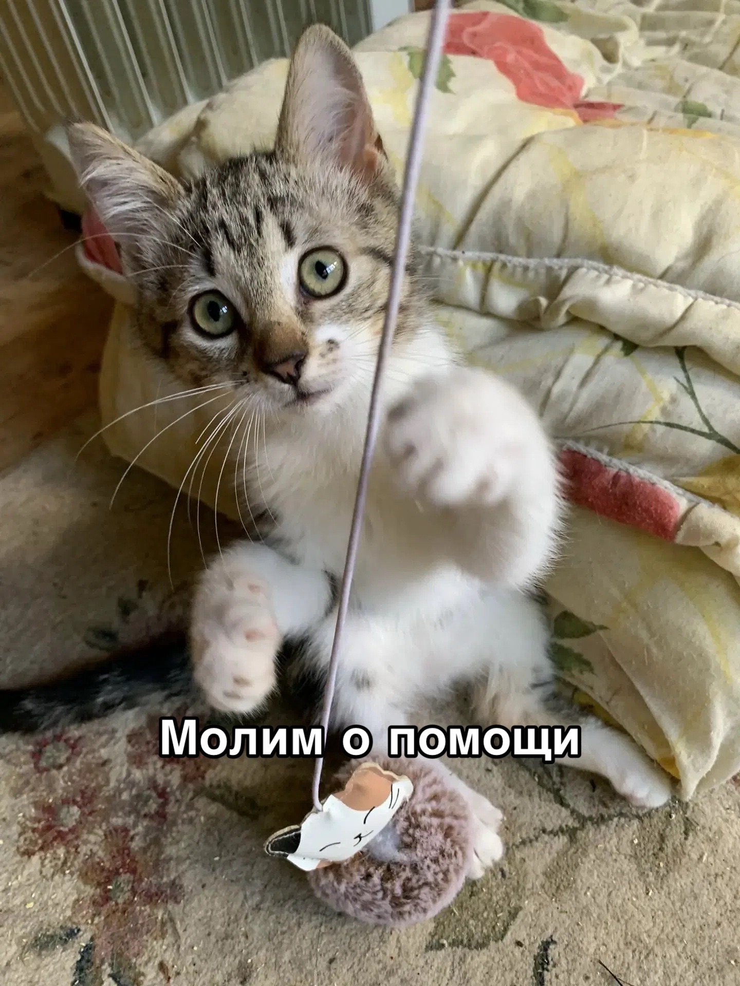 @Приют для животных Потеряшка
