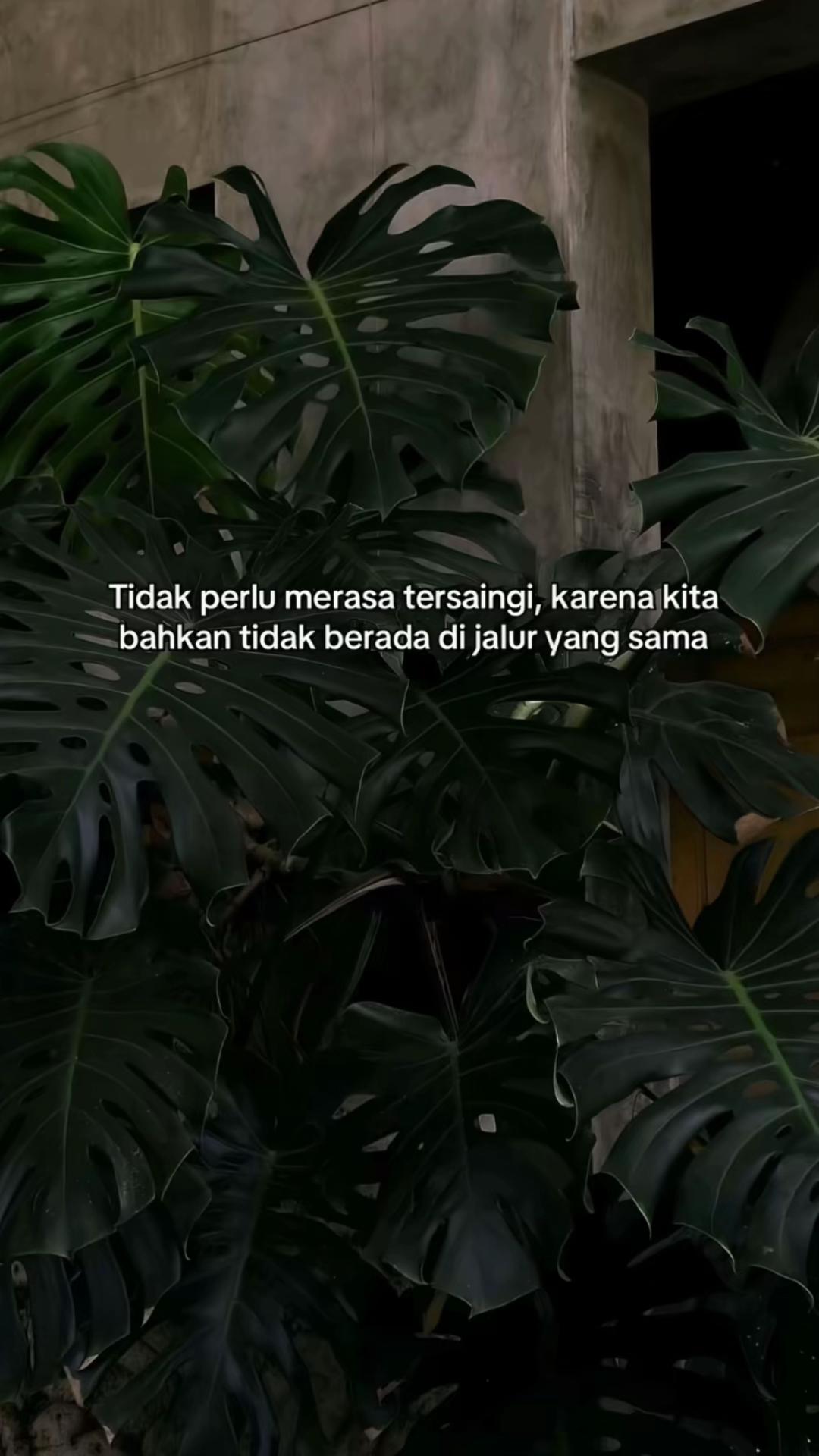 @INDRA SM💫⚡️