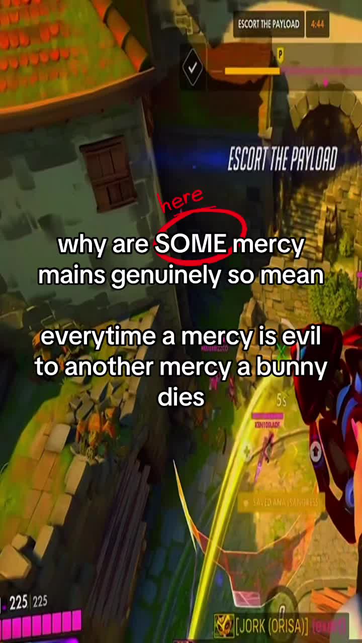 @bunni