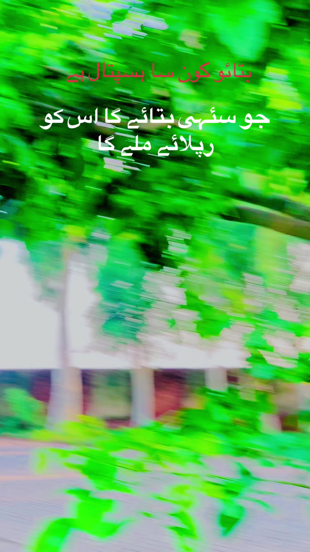 @تارڑ ذادی ❤️✨