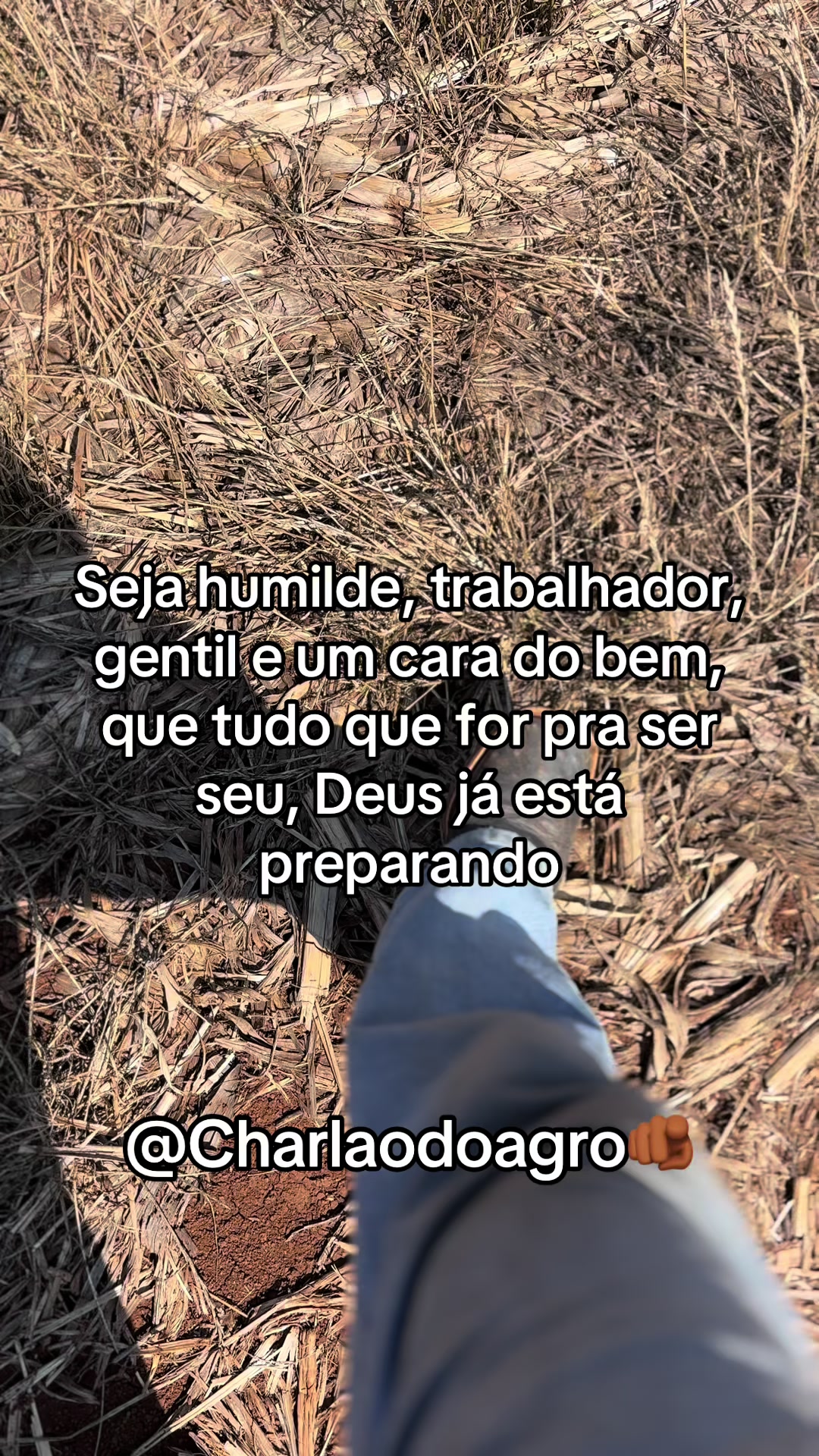@CHARLAODOAGRO 🤠