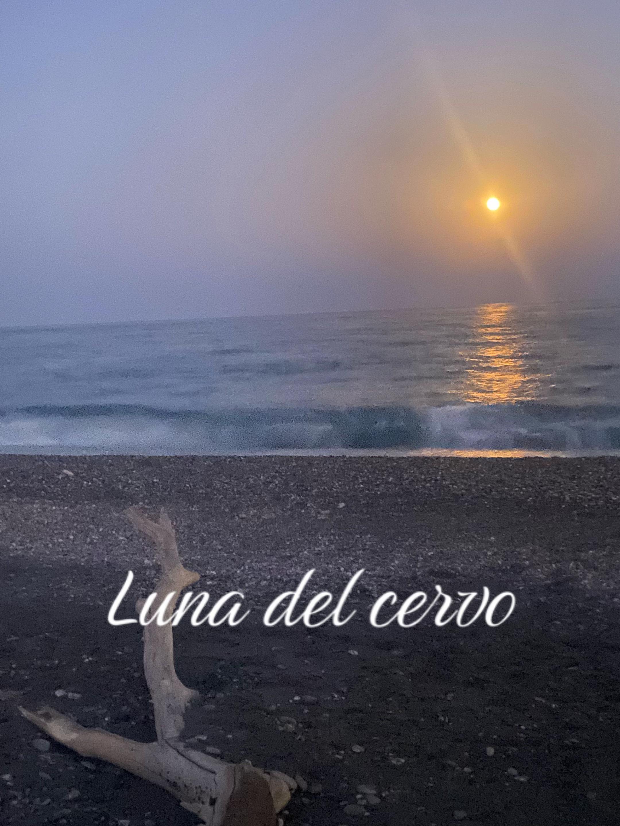@⭐️MIA⭐️