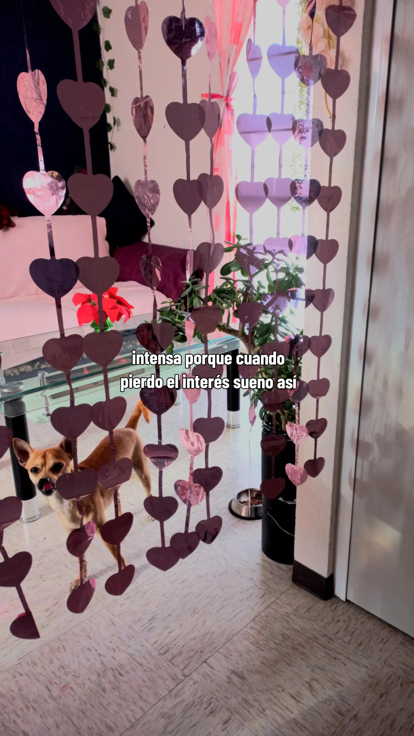 @&bull;𝑬𝒍𝒉𝒔 𝑮𝒂𝒓𝒄𝒊́𝒂&bull;🧟&zwj;♀️