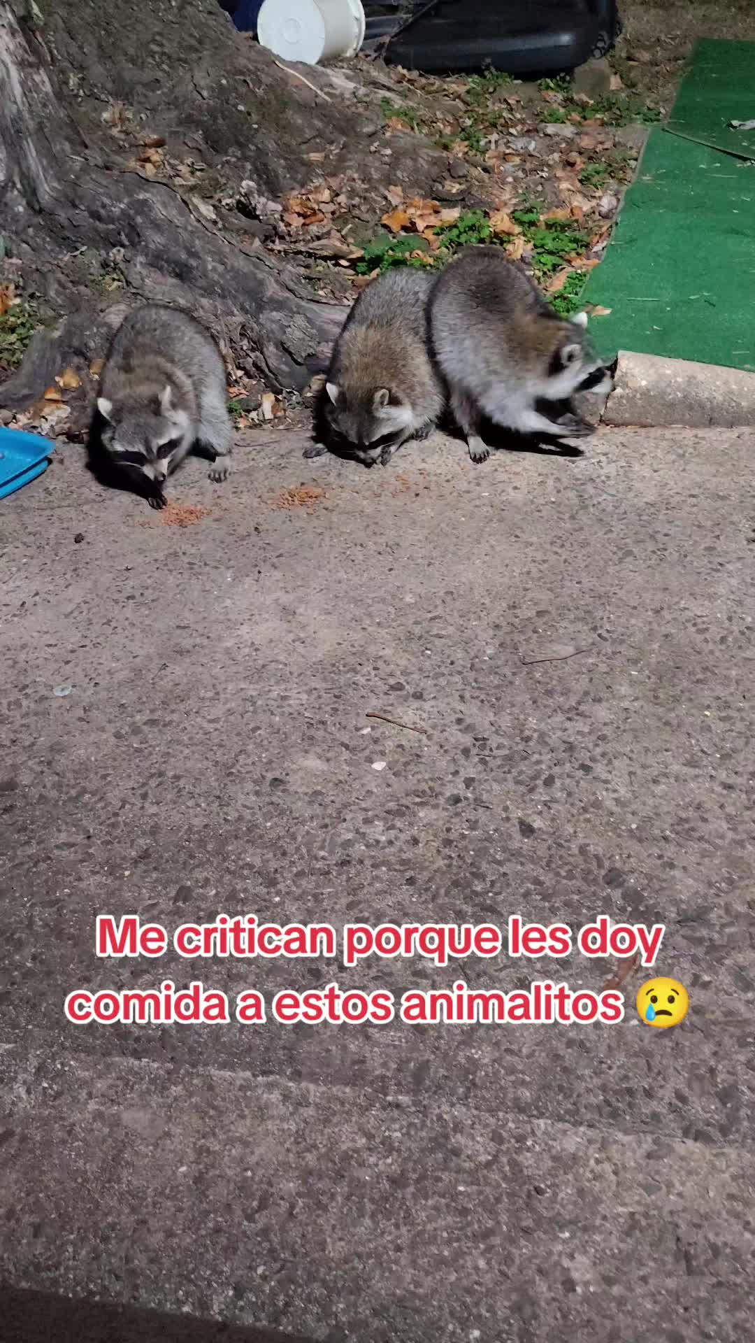 @Charlotte🐕🦺🐈🐕🦬🐐🐎🐄🐒