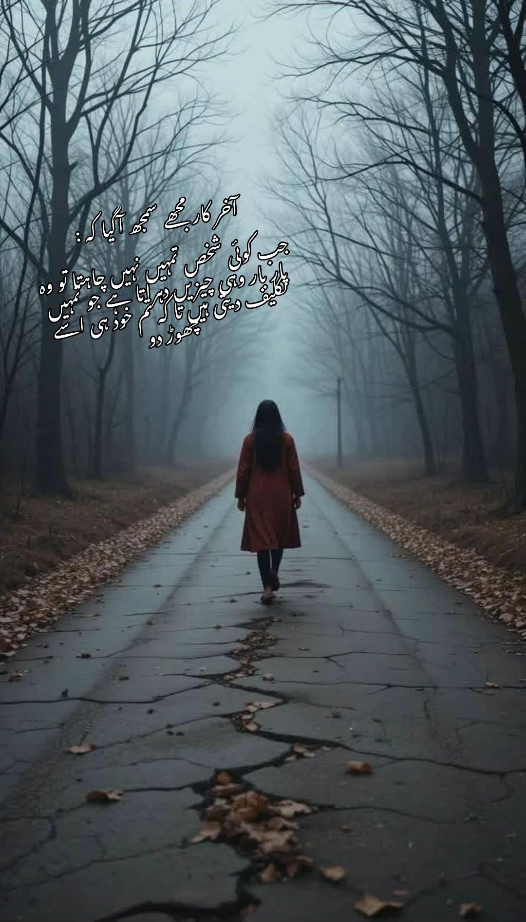 @noorfa15653297132