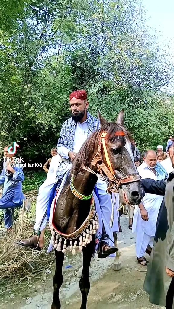 @🦂تنولی ملنگ302🐅