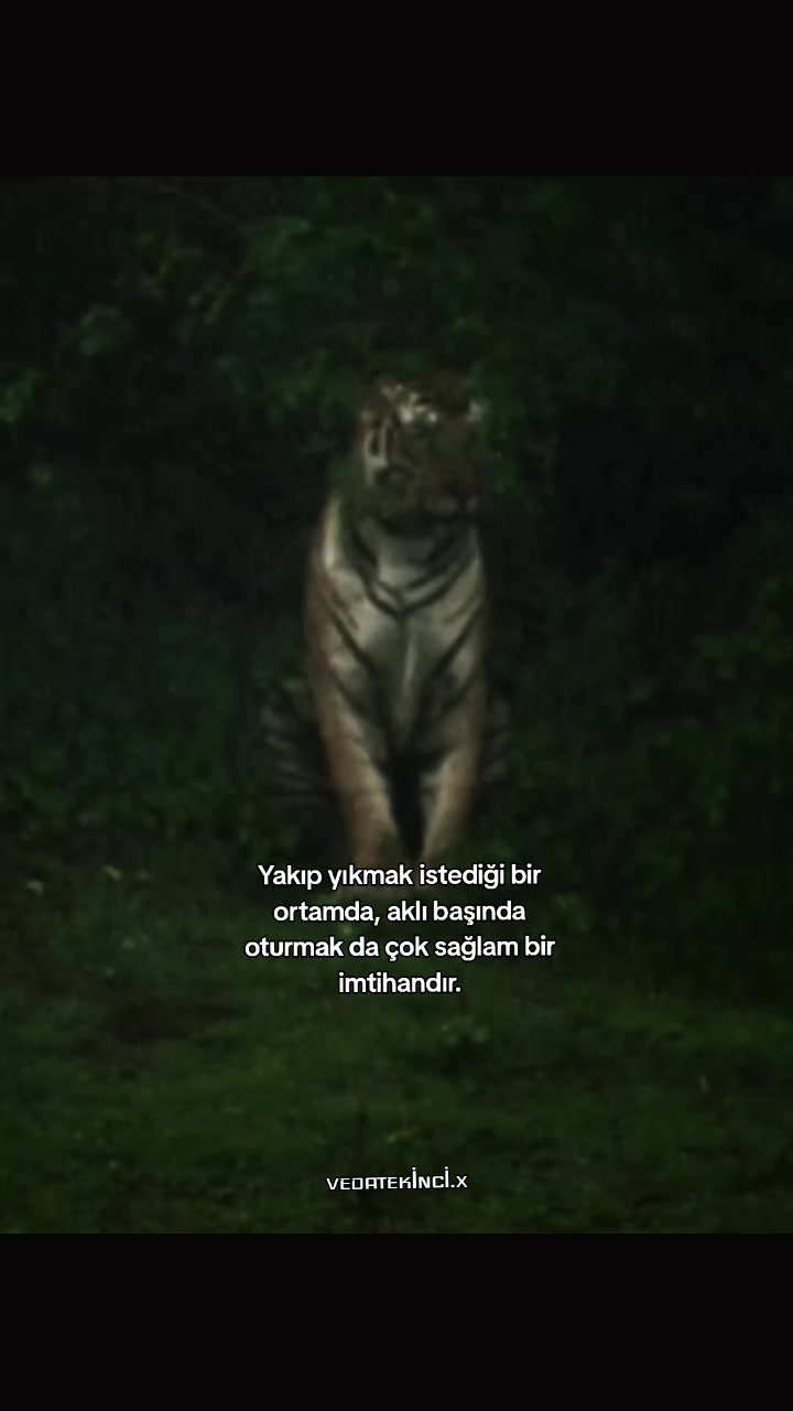 @VEDAT EKİNCİ