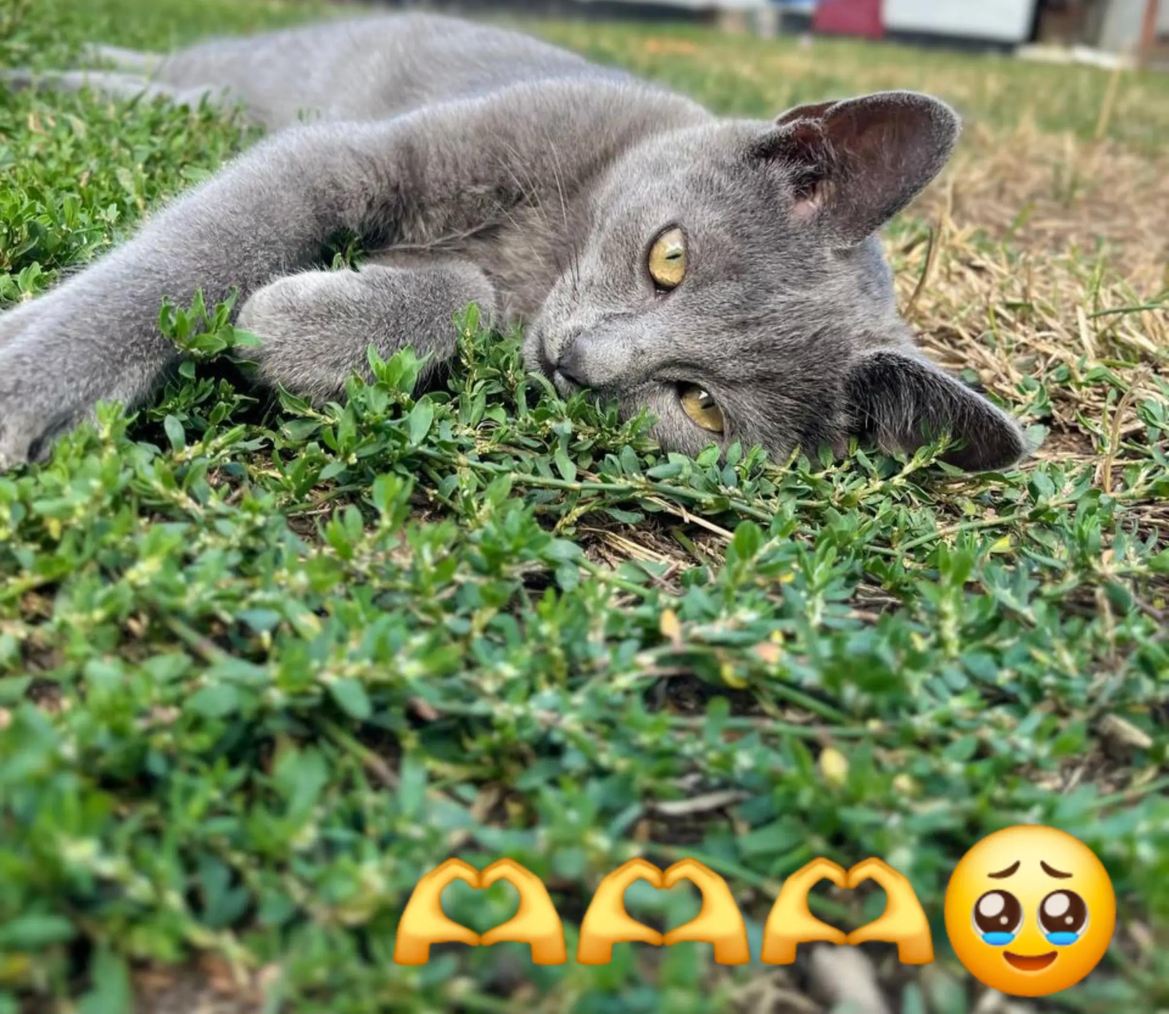 @Іришка