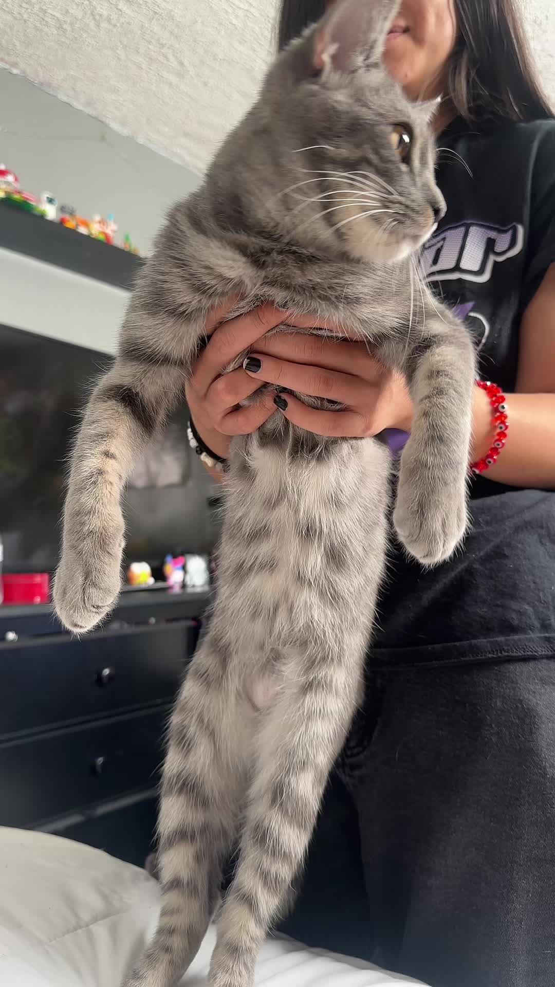 @_Jennerzz_