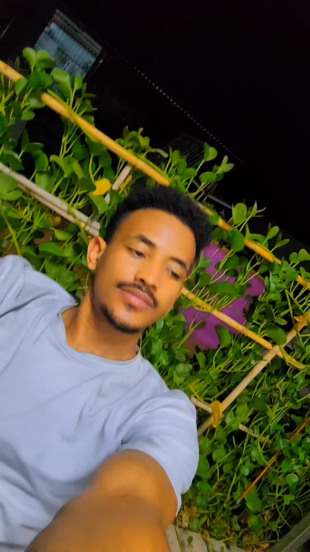 @Sulxi🥷