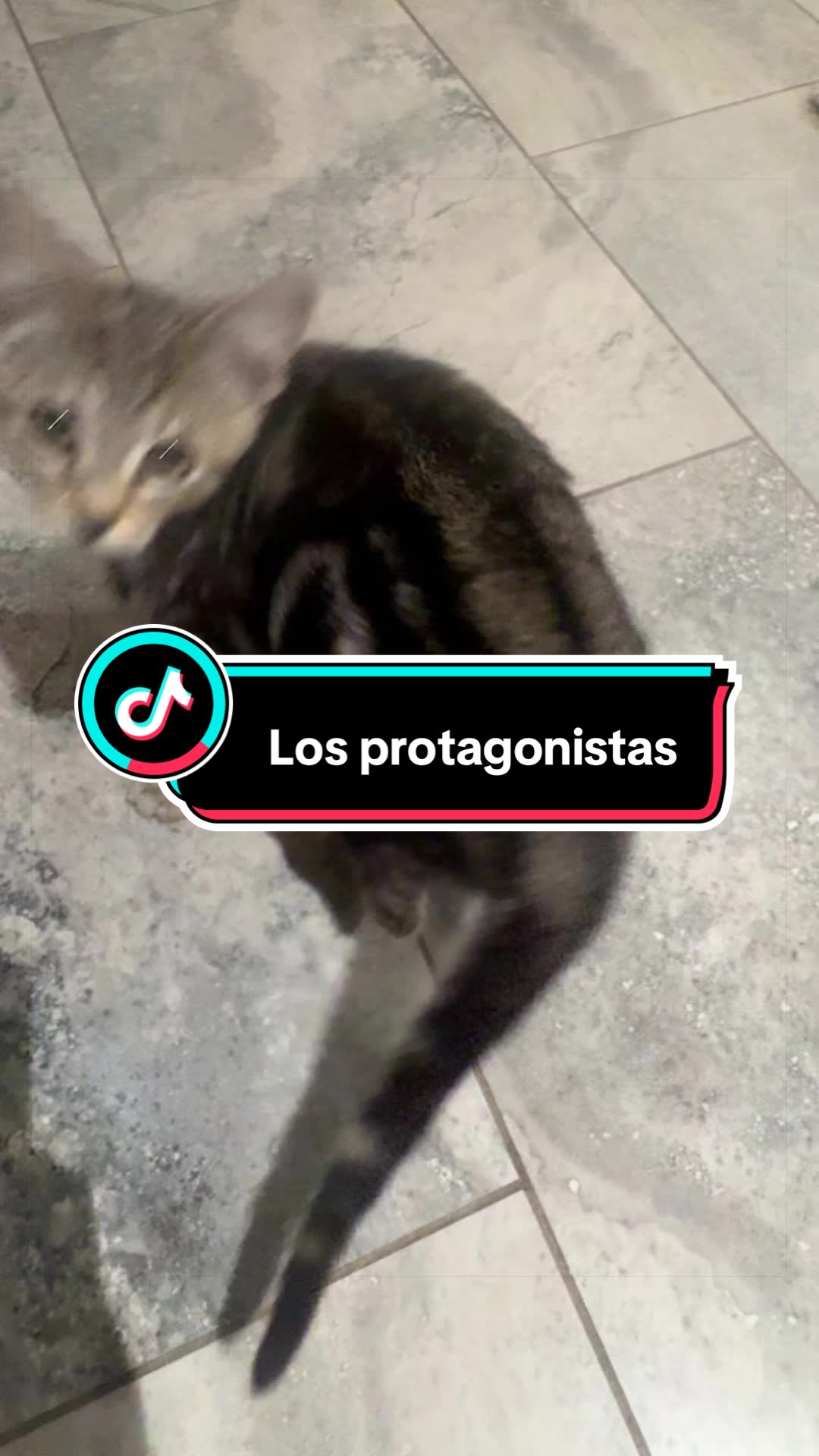 @nataly.831