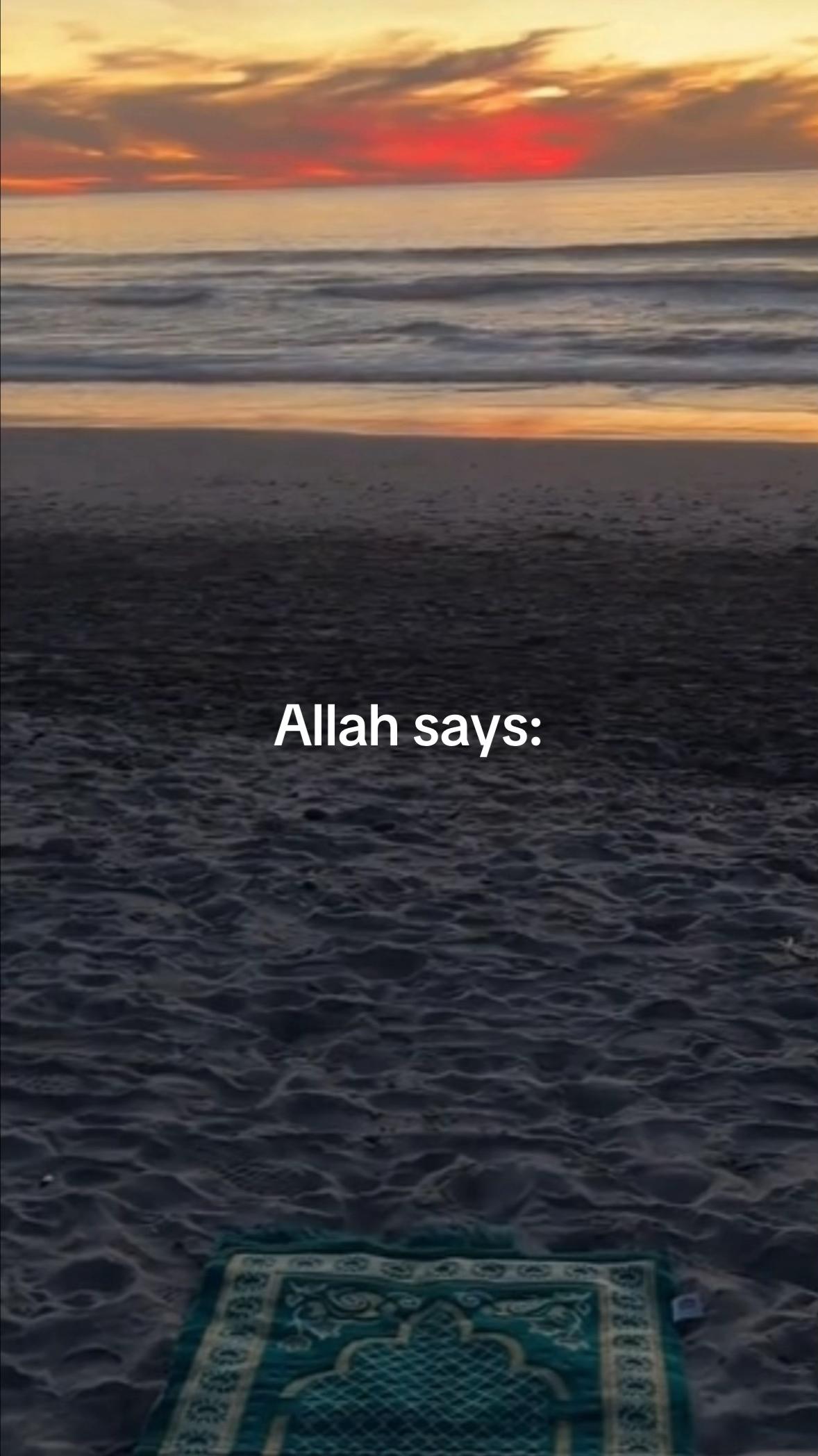 @halaltalks1