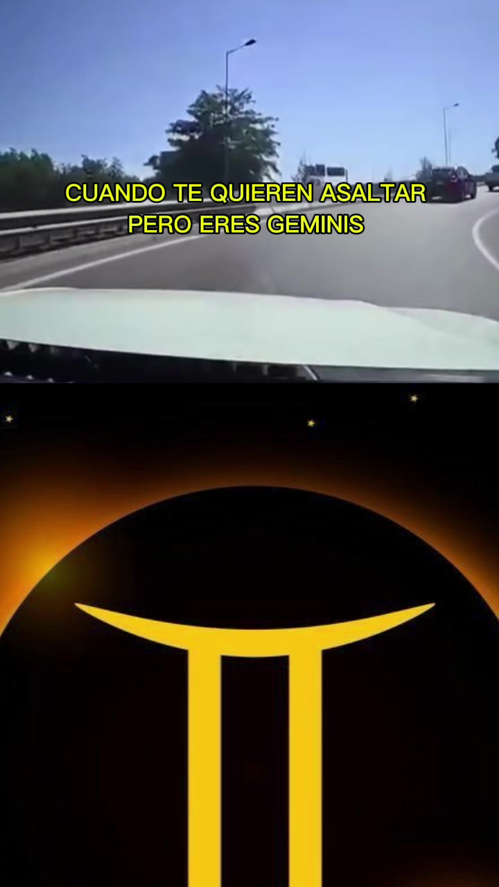 @Y O S O Y G E M I N I S ♊