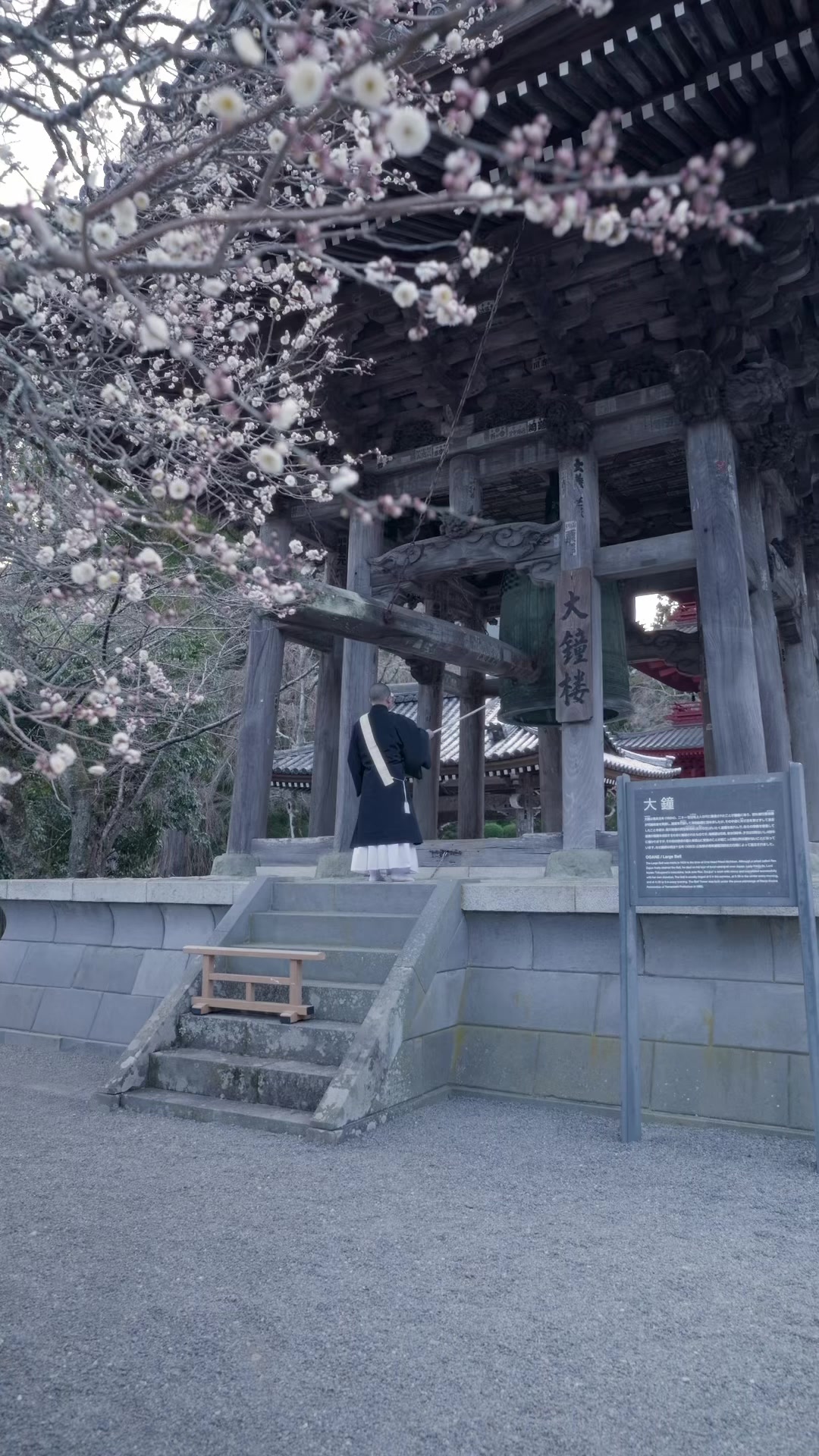 @koza | Beautiful Japan🇯🇵