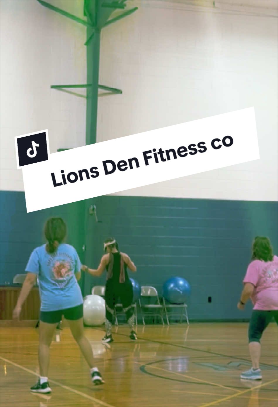 @lionessstrengthco