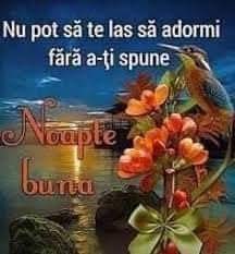 @Mocanu Alina