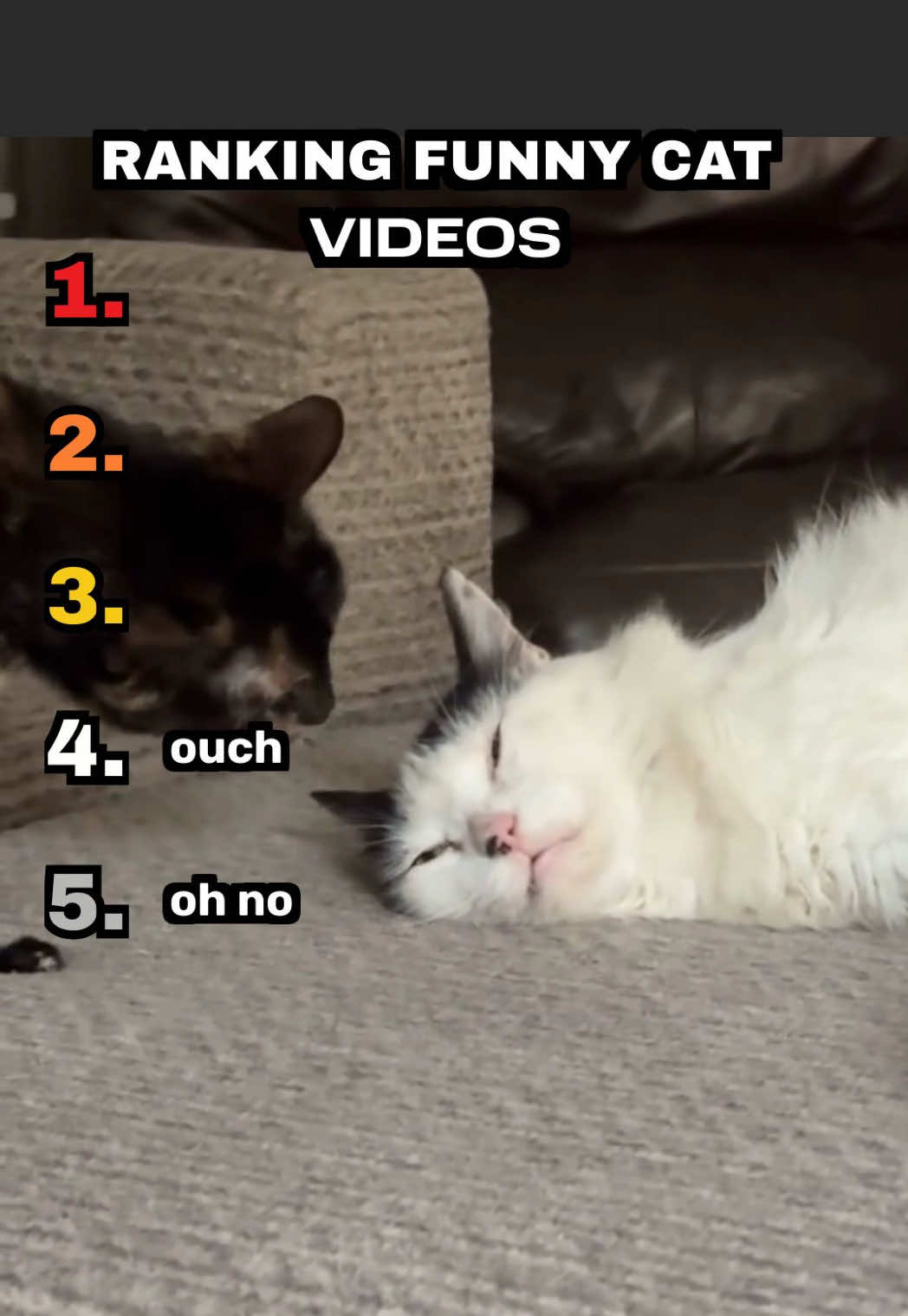 @Top5’s Of The Day