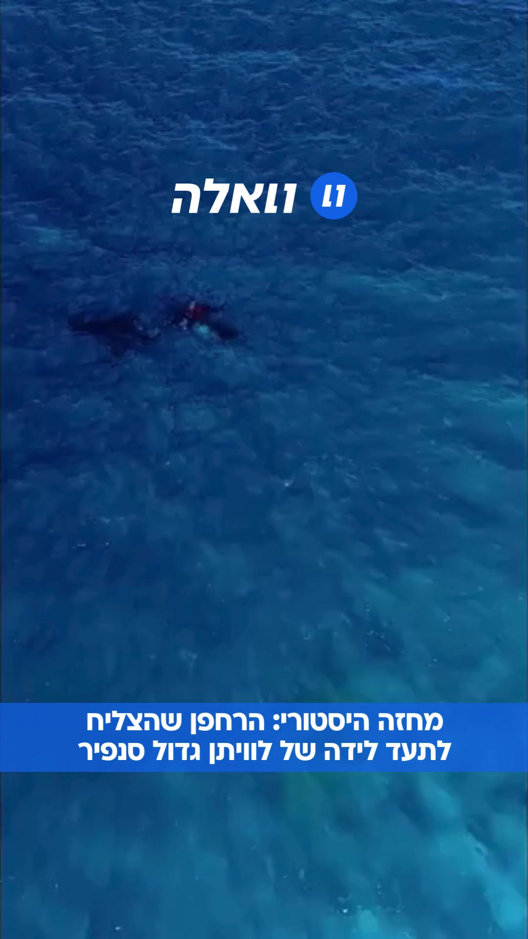 @וואלה