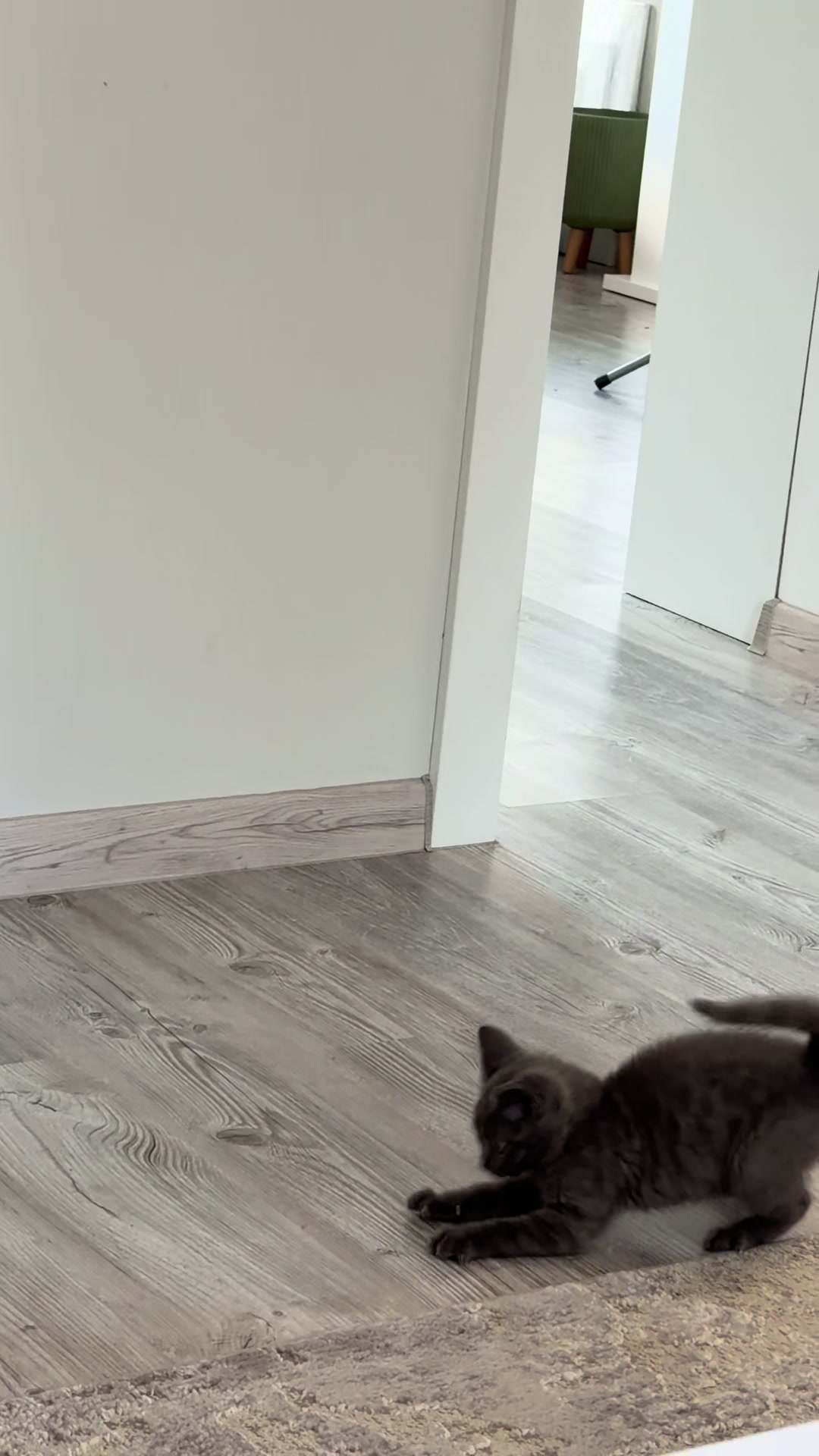 @Zjuzik