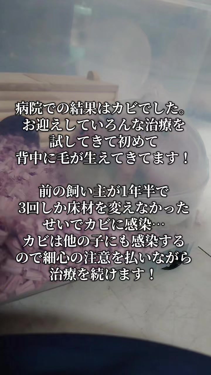 @ジン