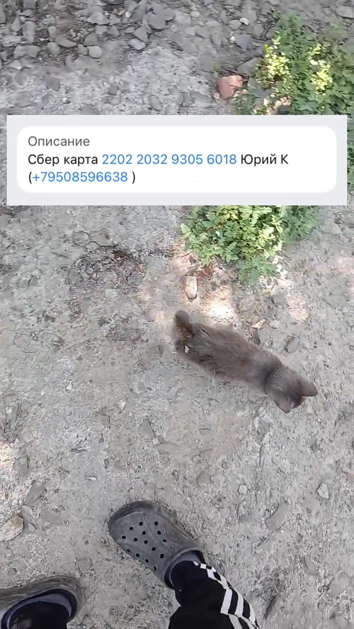 @Семейный Хуторок