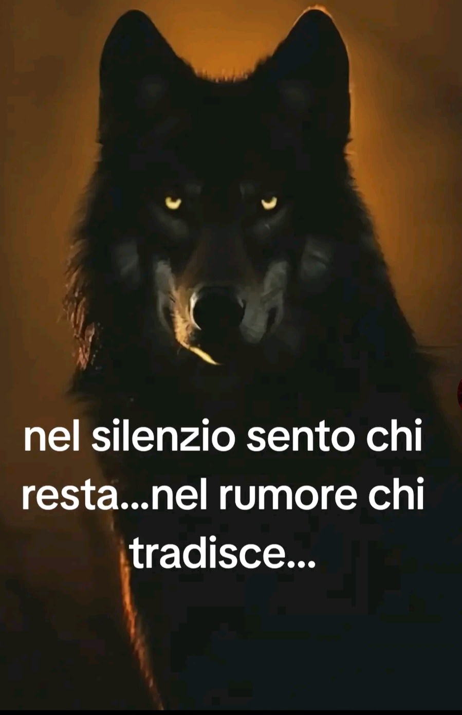 @Cuore di ghiaccio 🖤🖕