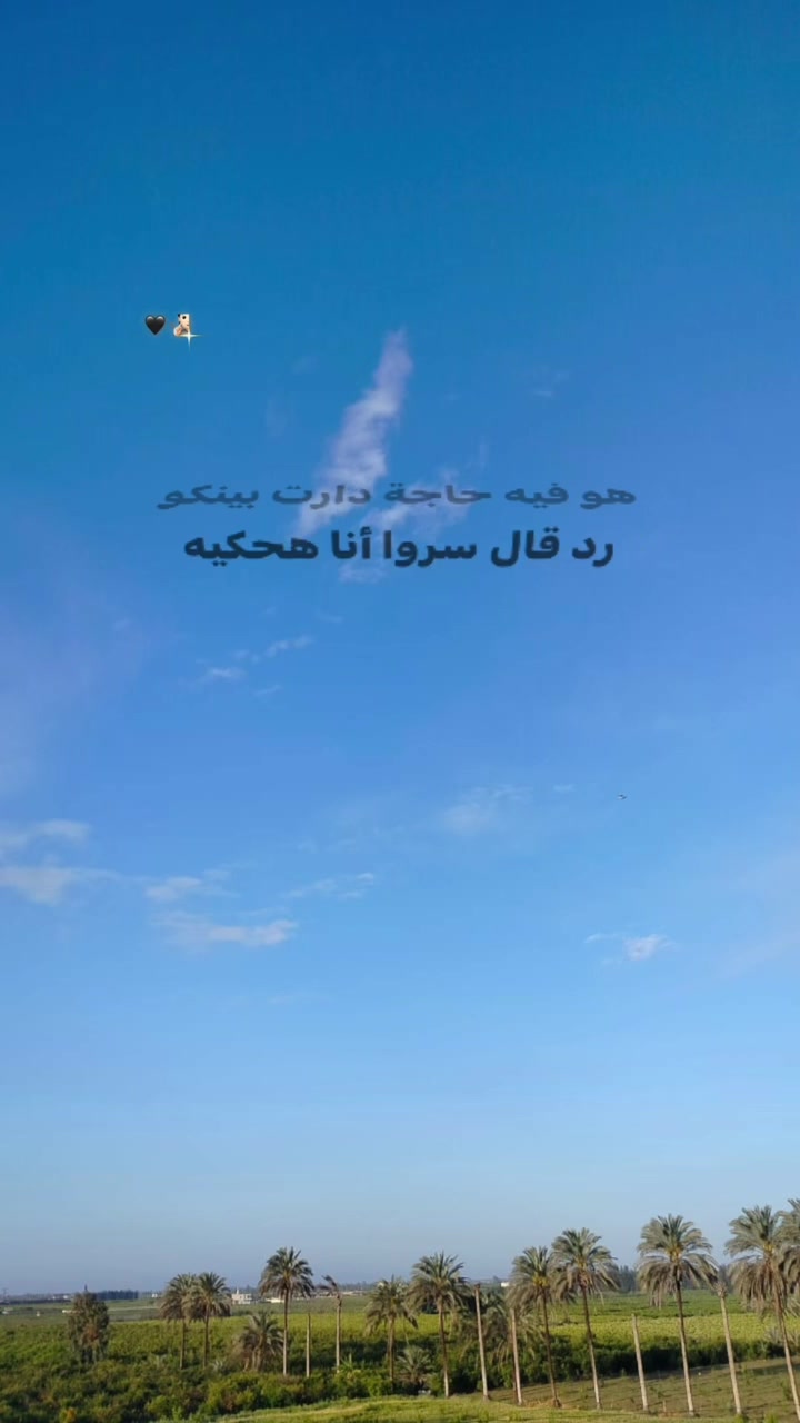 @﮼اسلام﮼عبواحد 🐺