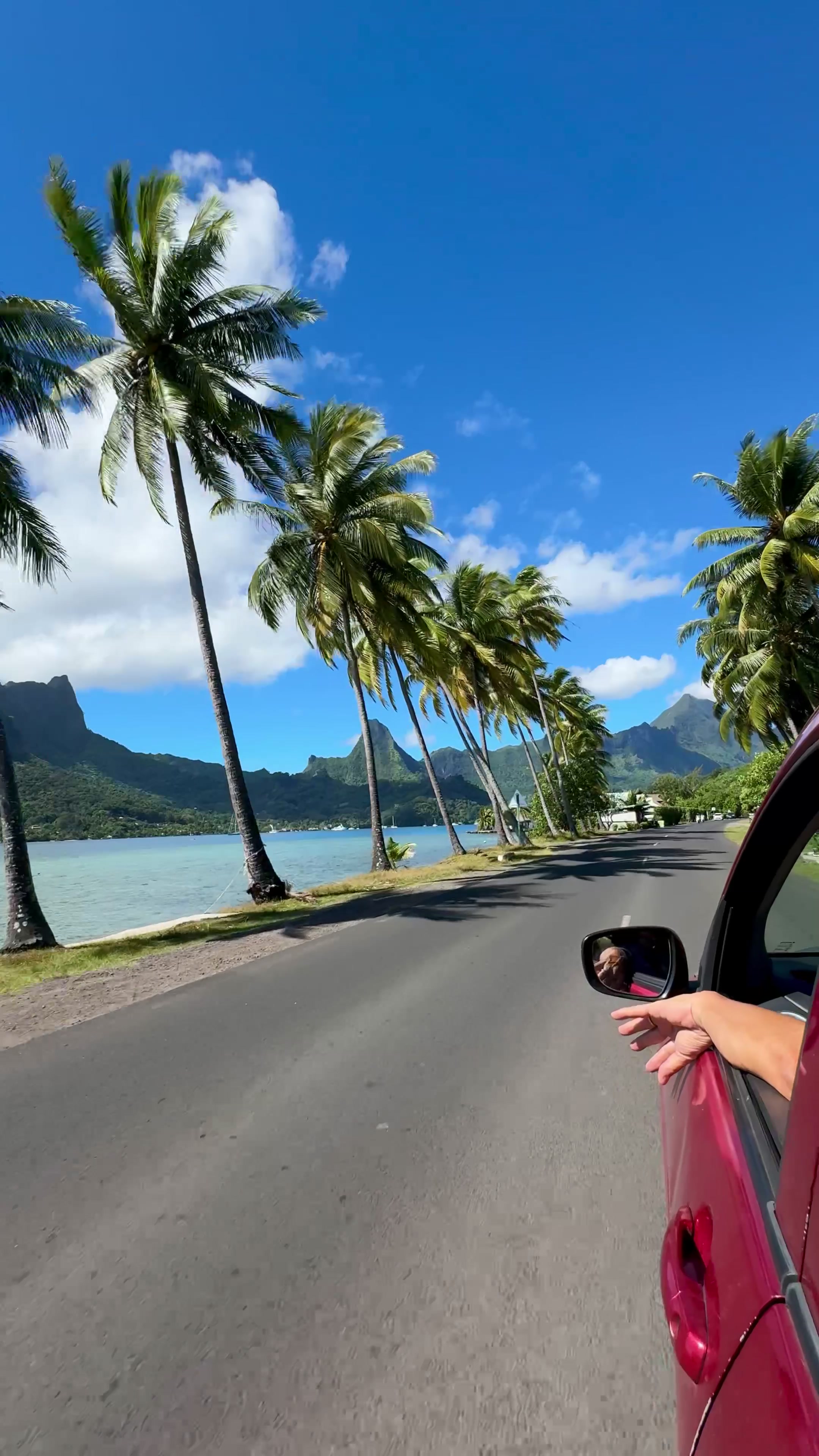 @Ambre | Tahiti 🐚🌺