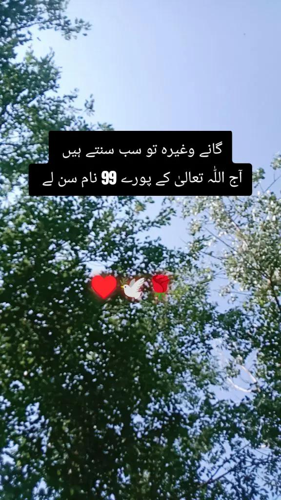 @✨Zahir_khan✨