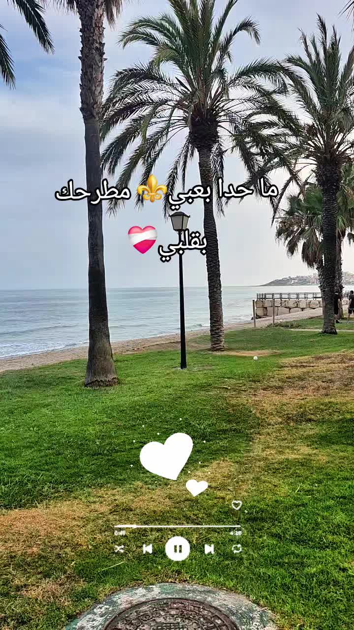 @sidahmed77❤️🩹31